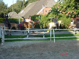 rijdenmaar5.jpg