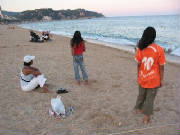 strand3.jpg