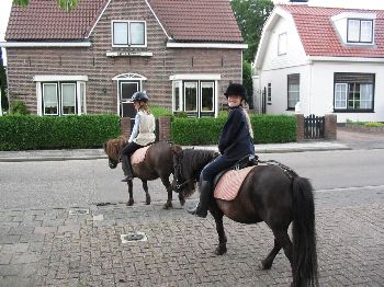 2307200512.jpg