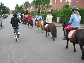 230720054.jpg