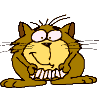 welkomkat.gif